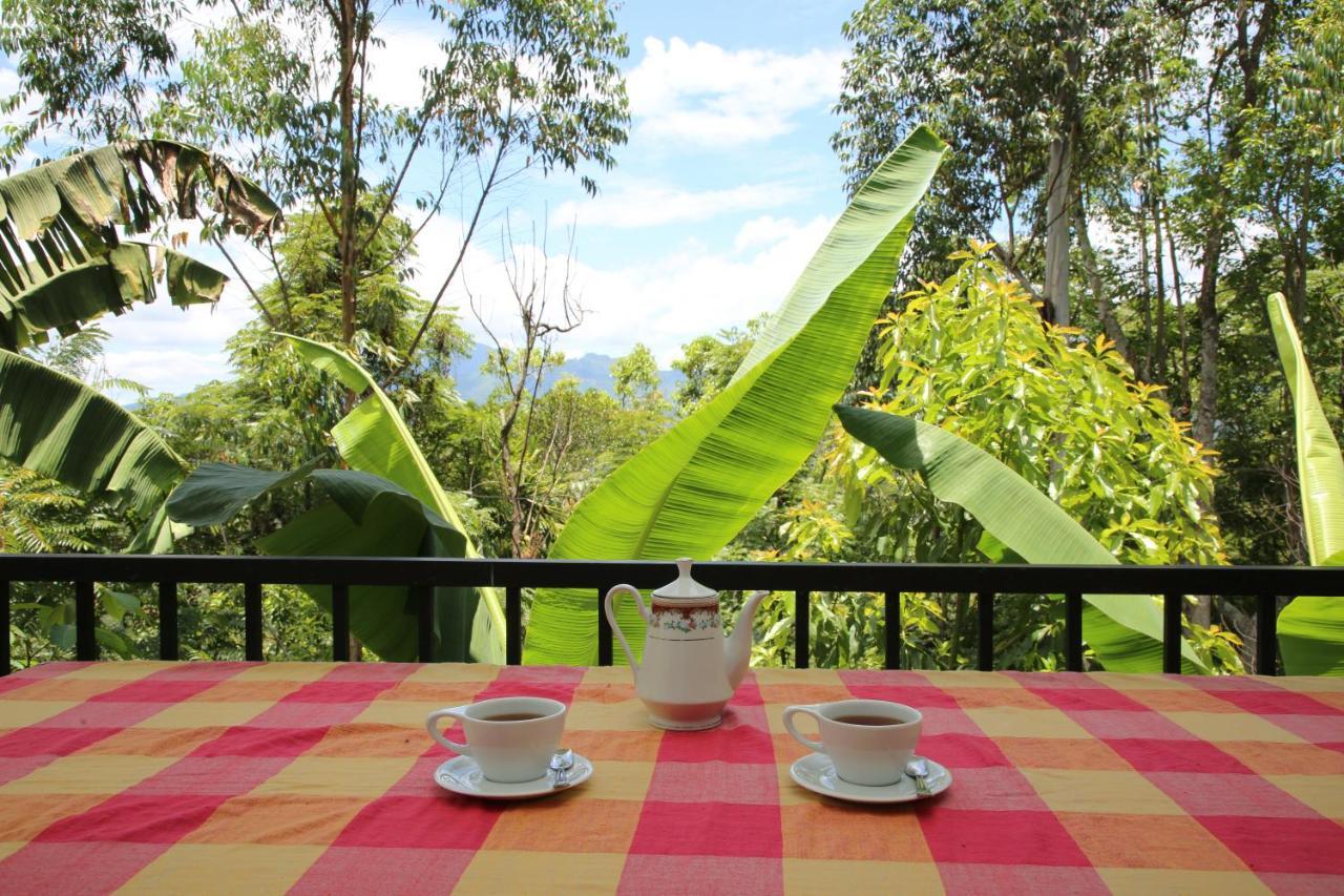 The Bliss Homestay Элла Экстерьер фото